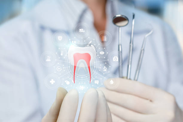 Why Choose Us for Your Dental Needs in Harbor Isle, NY